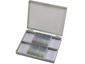 Zestawy preparatów biologicznych - Tkanki ludzkie Zestawy preparatów biologicznych - Tkanki ludzkie