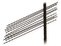 Brzeszczoty włosowe do drewna Brzeszczoty włosowe do drewna